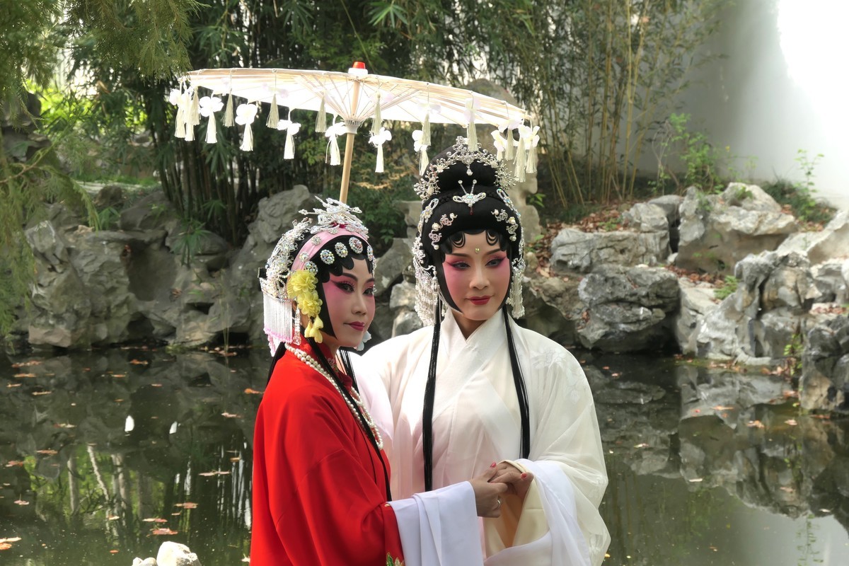 【国色芳华 春漾漕溪】——摄于上海漕溪公园