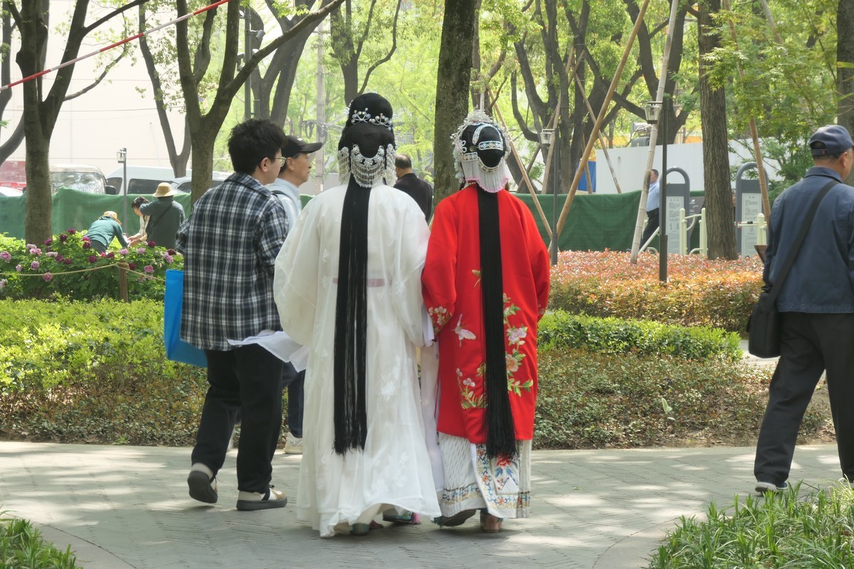 【国色芳华 春漾漕溪】——摄于上海漕溪公园