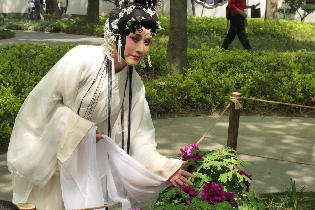 【国色芳华 春漾漕溪】——摄于上海漕溪公园