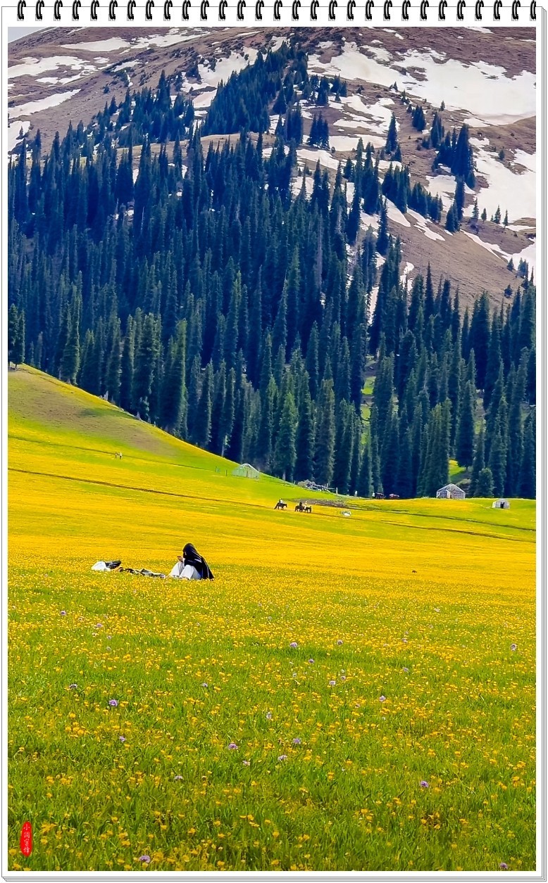 2025年-新疆风光纪实抓拍-0480