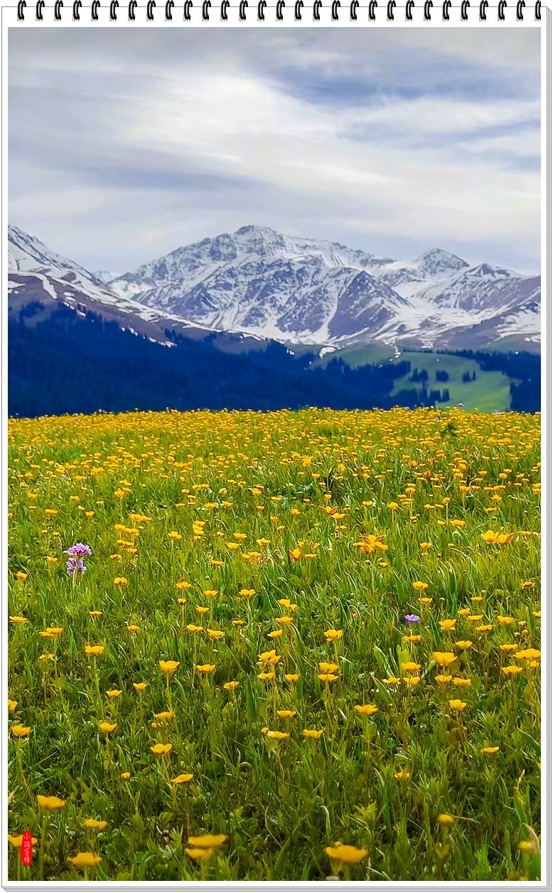 2025年-新疆风光纪实抓拍-0480