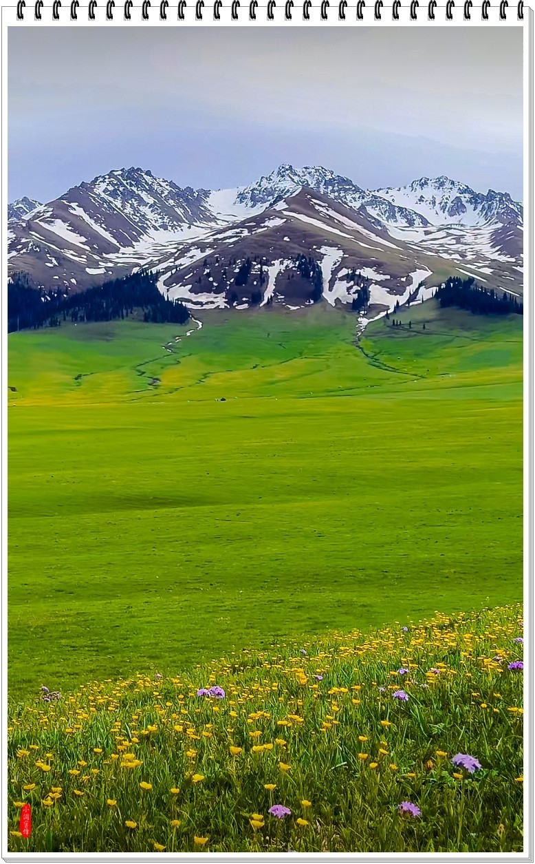 2025年-新疆风光纪实抓拍-0480