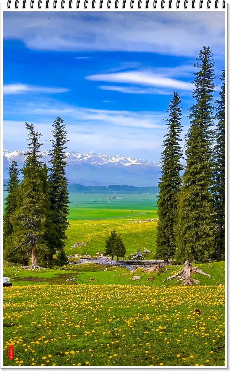 2025年-新疆风光纪实抓拍-0480