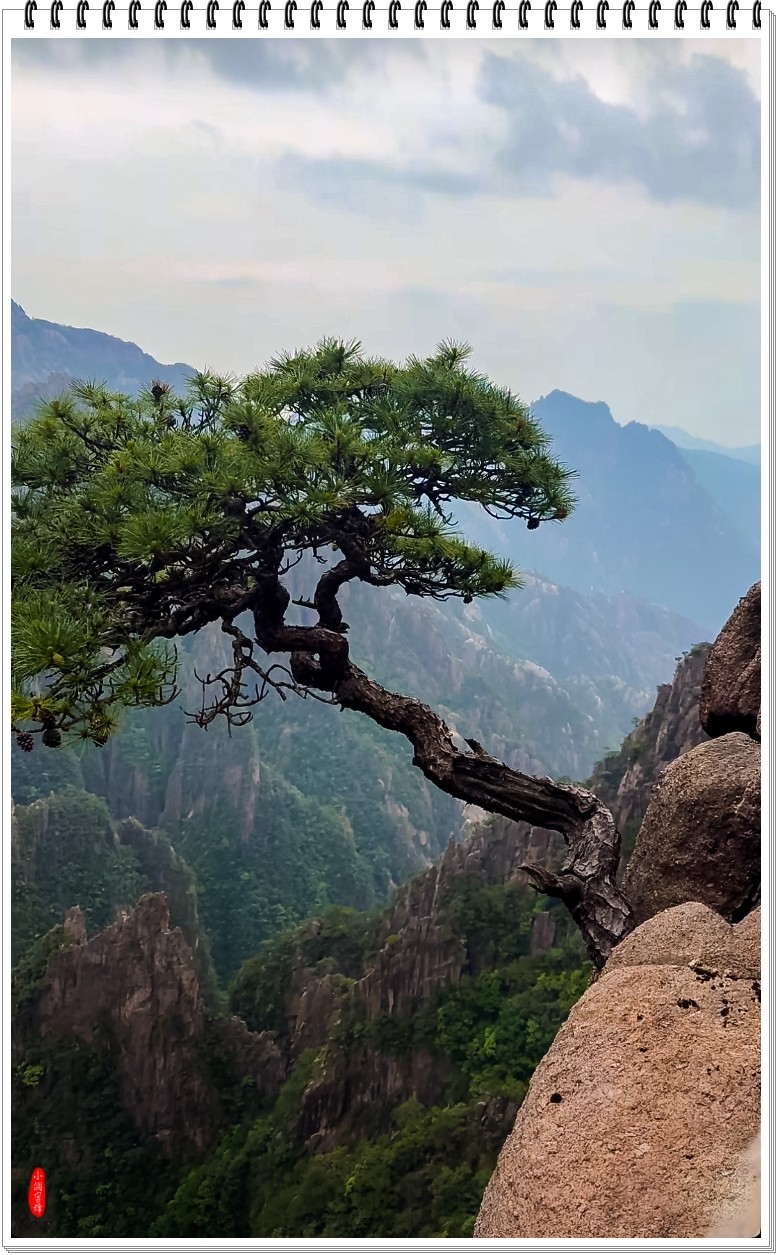 2025年-黄山风光纪实抓拍-0476