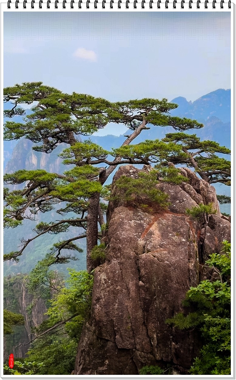 2025年-黄山风光纪实抓拍-0478