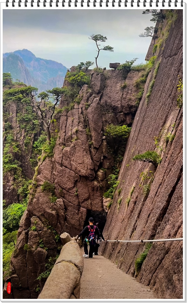 2025年-黄山风光纪实抓拍-0478