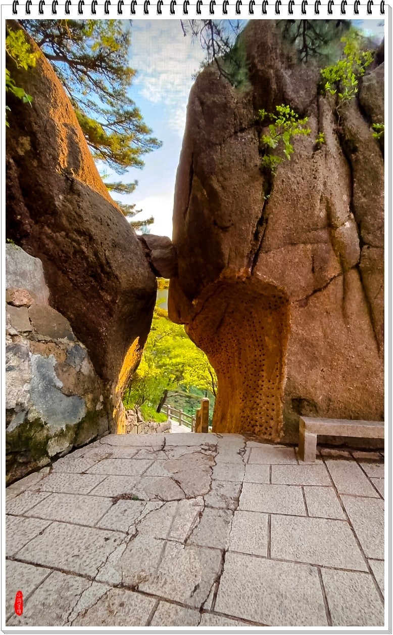 2025年-黄山风光纪实抓拍-0479