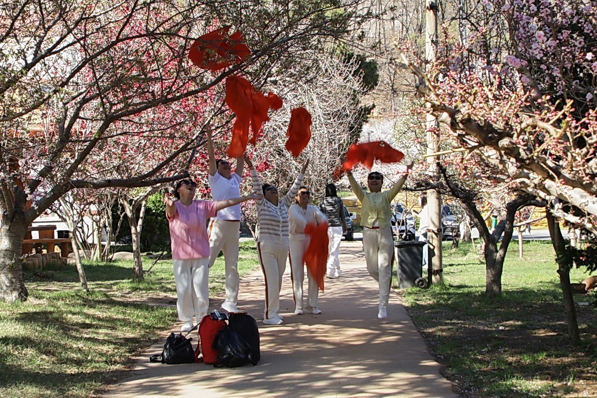 滨城游拍——龙王塘樱花园（2025）