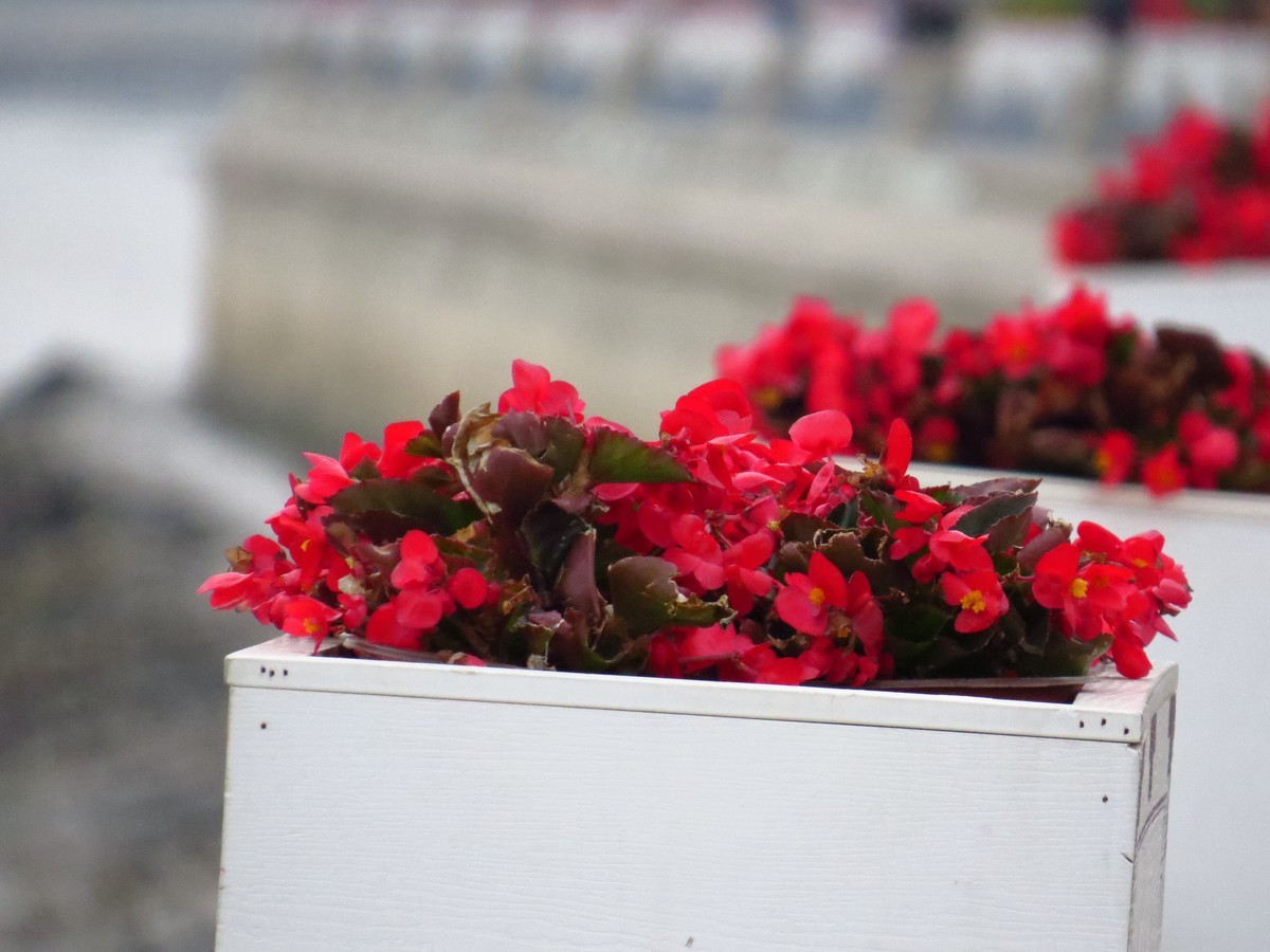 大辽河风光随手拍