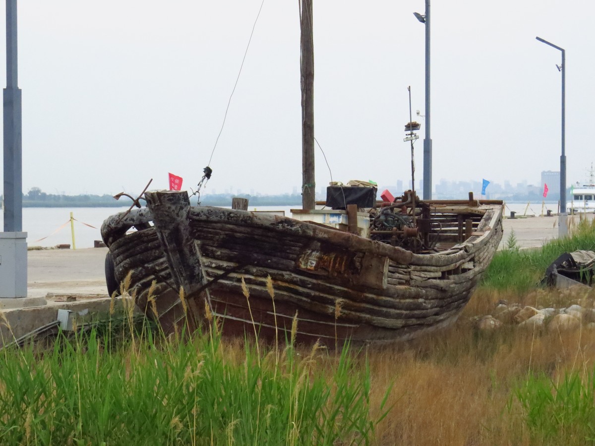 大辽河风光随手拍