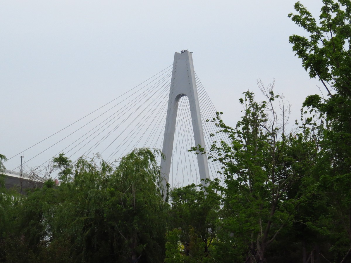 大辽河风光随手拍