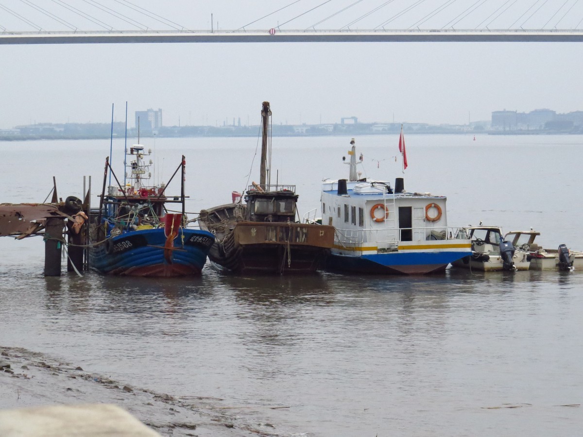 大辽河风光随手拍