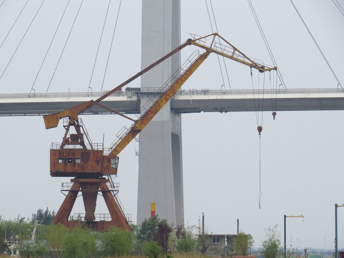 大辽河风光随手拍