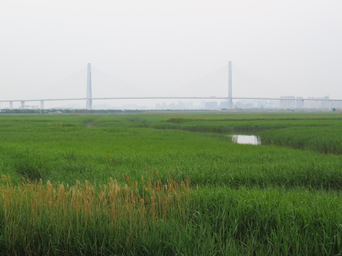 大辽河风光随手拍