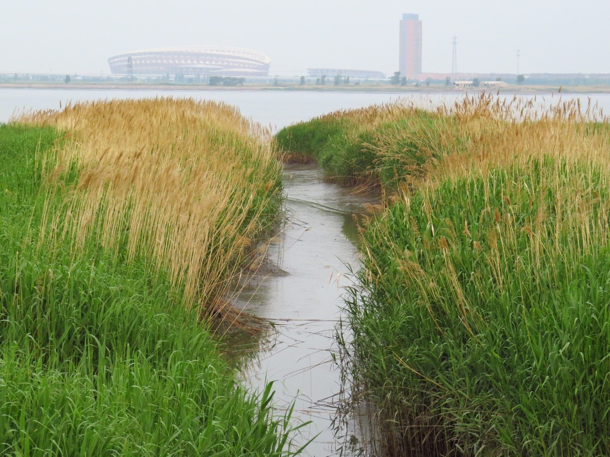 大辽河风光随手拍