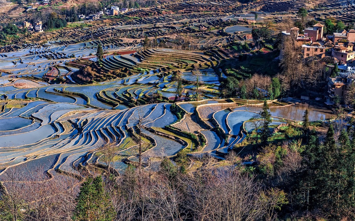 云南多依树景区介绍图片