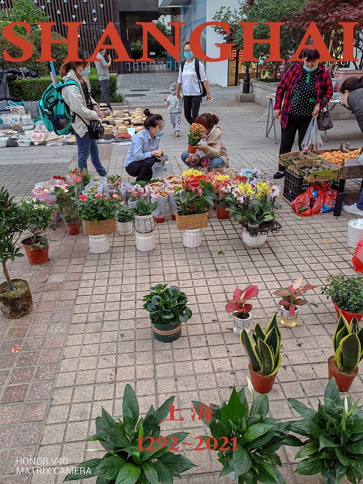 活跃气氛片《夏日里的美女更靓丽》抓拍街拍随拍一组热闹片！哈哈！