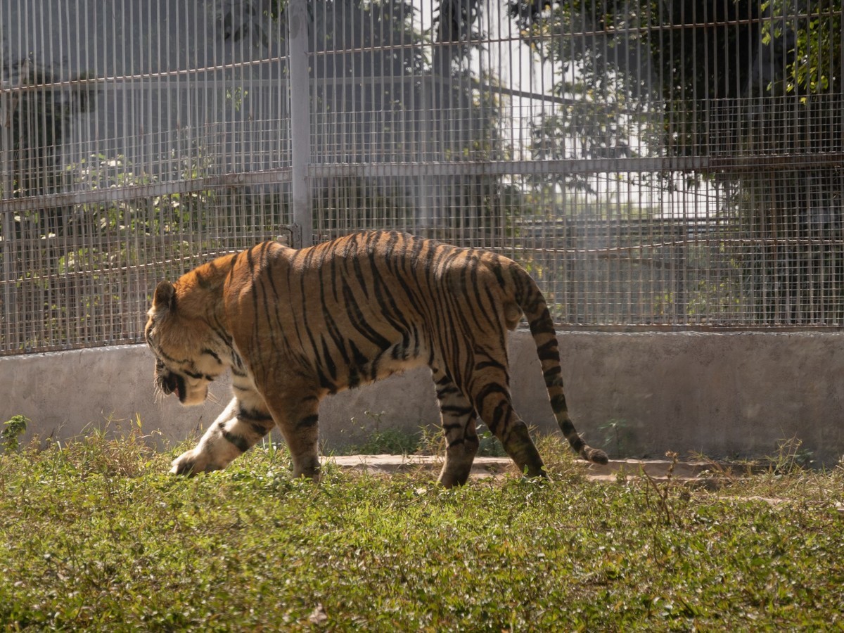 东莞市寮步镇的动物公园