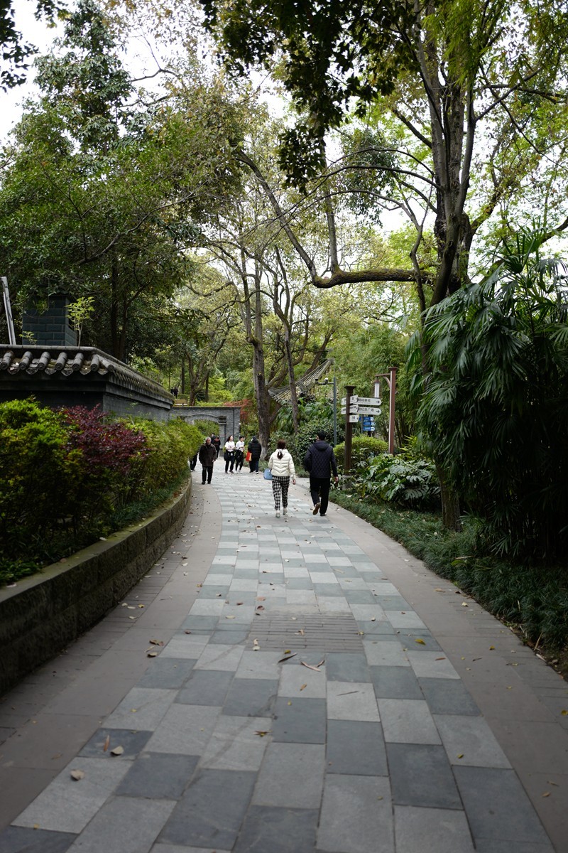 成都之行——人民公园（1）