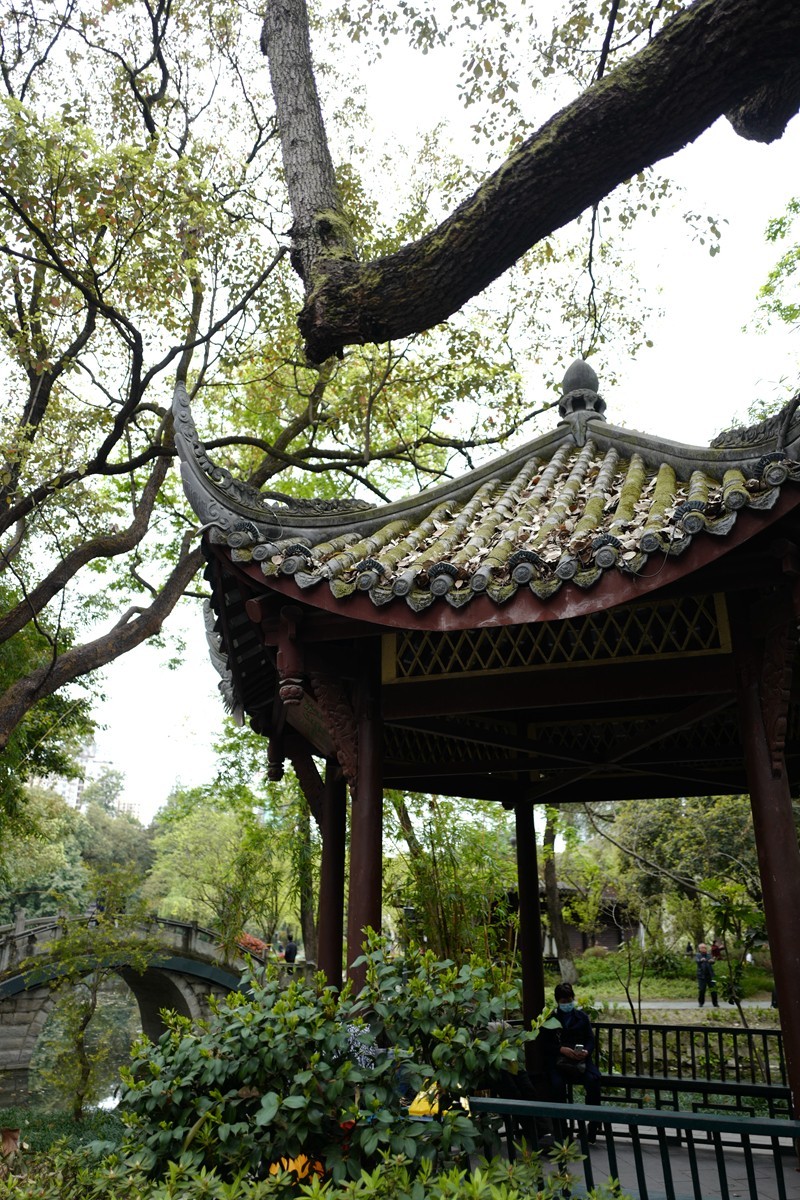 成都之行——人民公园（1）