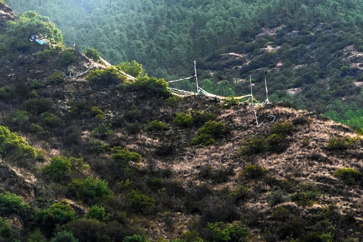 西行散记——走近阿丙村