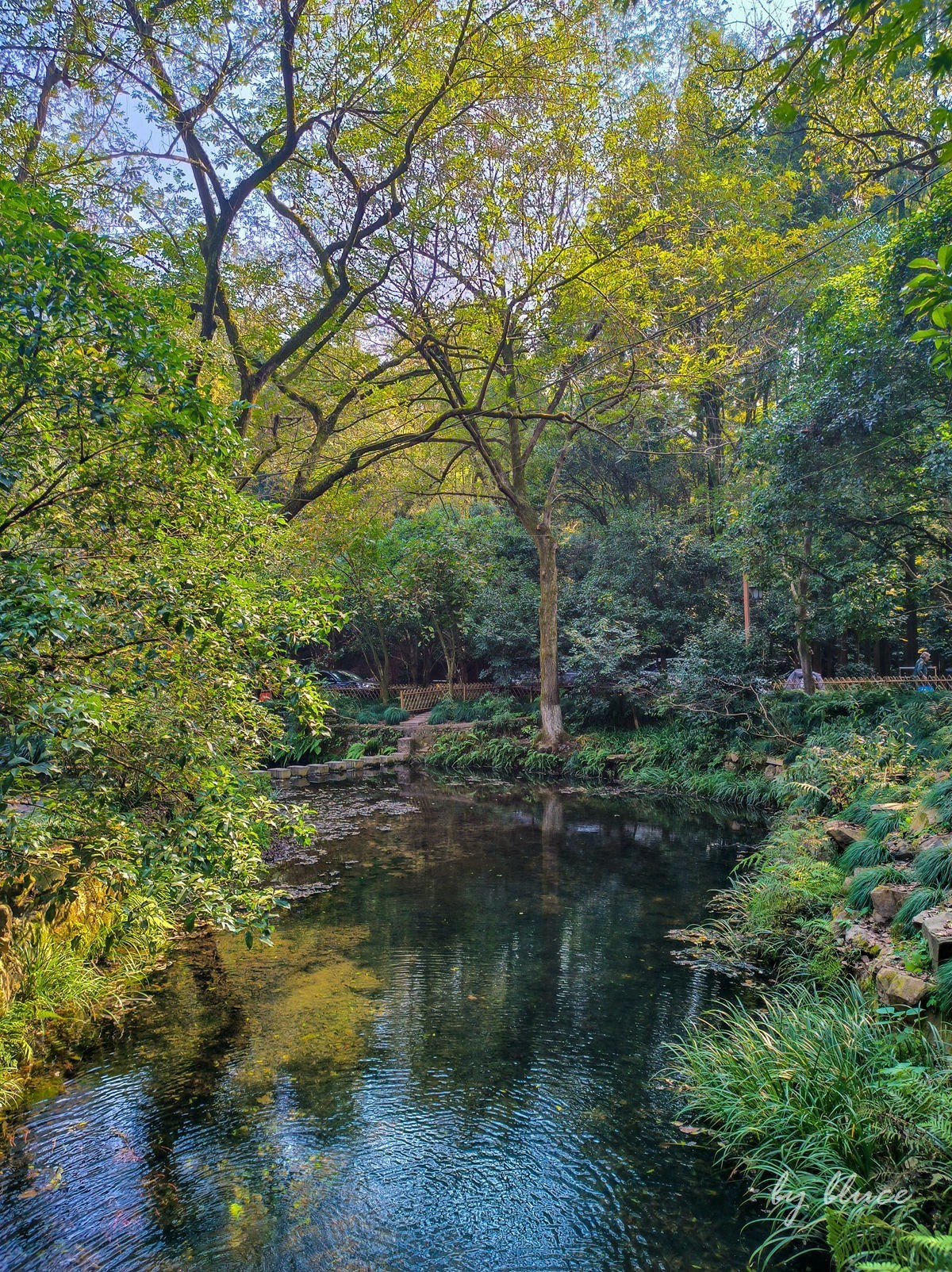 手机随拍——杭州西湖九溪景区（下）