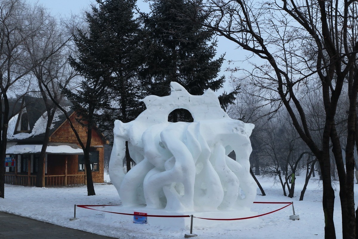 遊太阳岛雪博会---大年初一       3/8