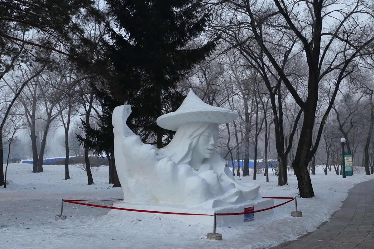 遊太阳岛雪博会---大年初一       3/8