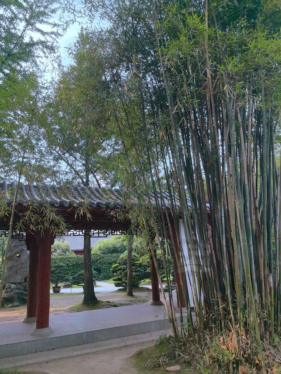 回廊春光3*磨山盆景园——武汉随笔