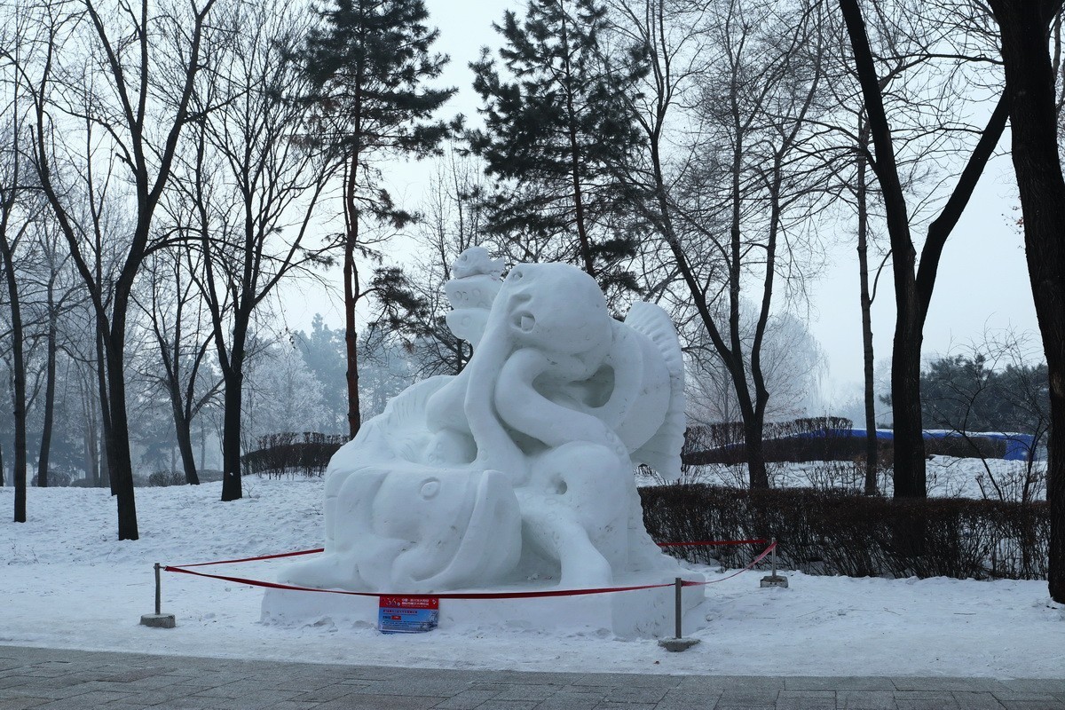 遊太阳岛雪博会---大年初一       3/8
