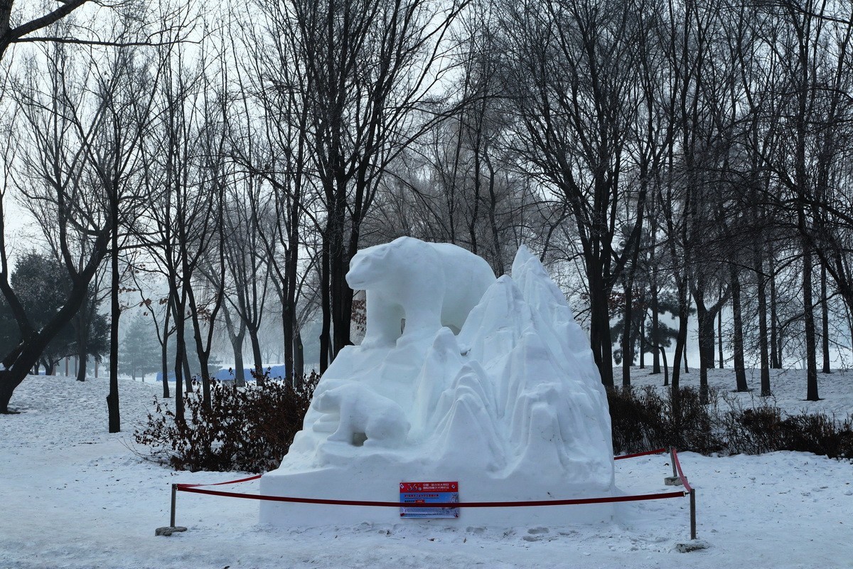 遊太阳岛雪博会---大年初一       3/8