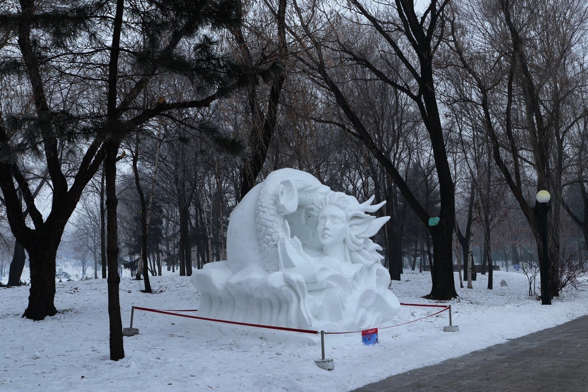 遊太阳岛雪博会---大年初一       3/8