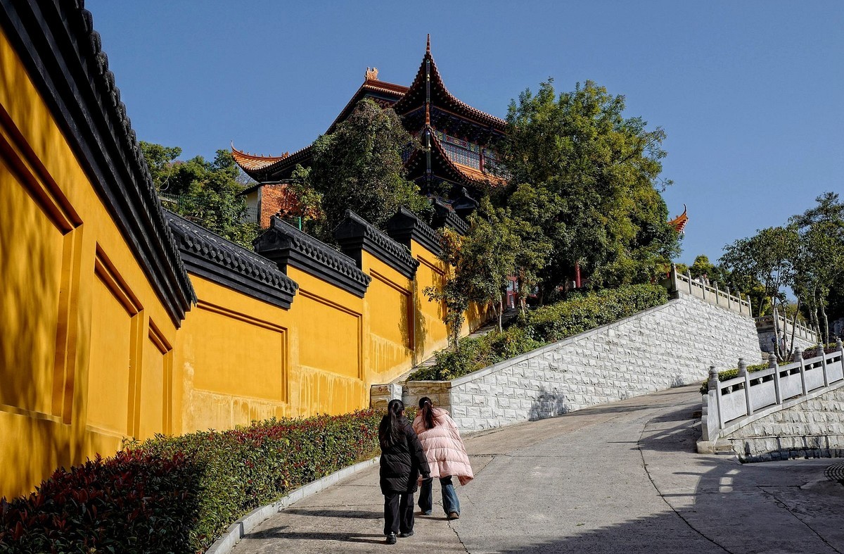 宝通寺银杏三