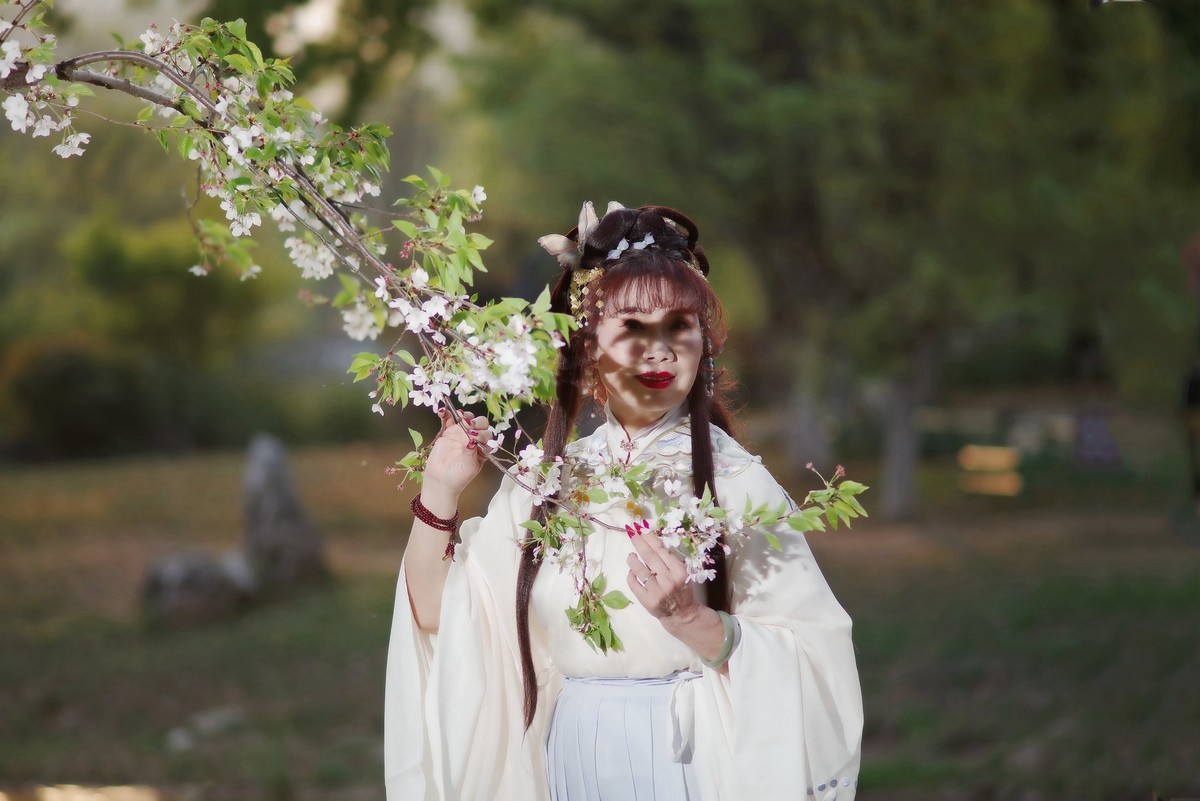 堤角公园樱花树下的古装美女！