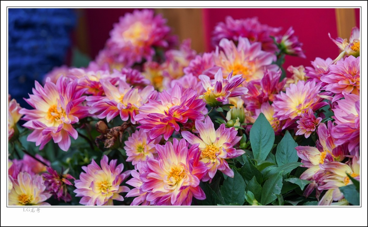 大吉大利 百年好合 春节快乐