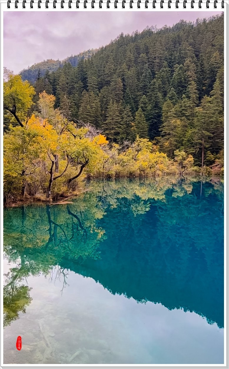 2022年九寨沟云拍-44