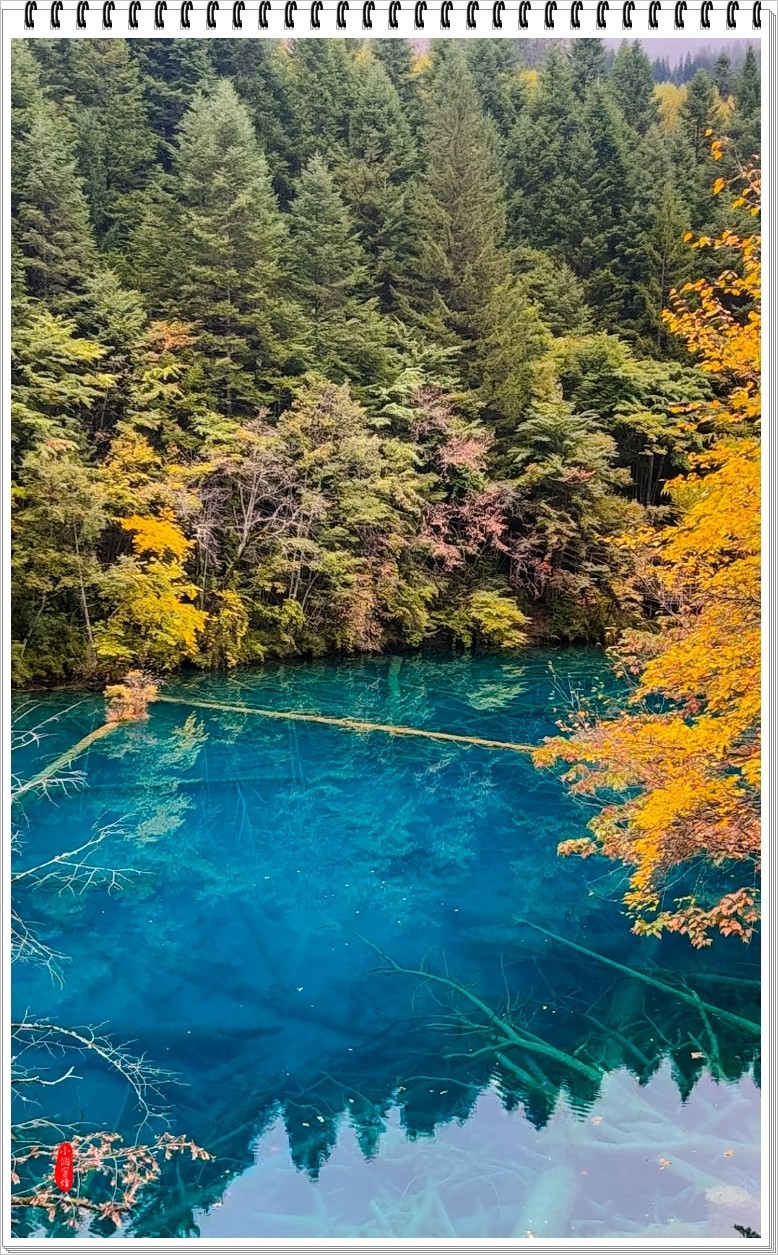 2022年九寨沟云拍-44