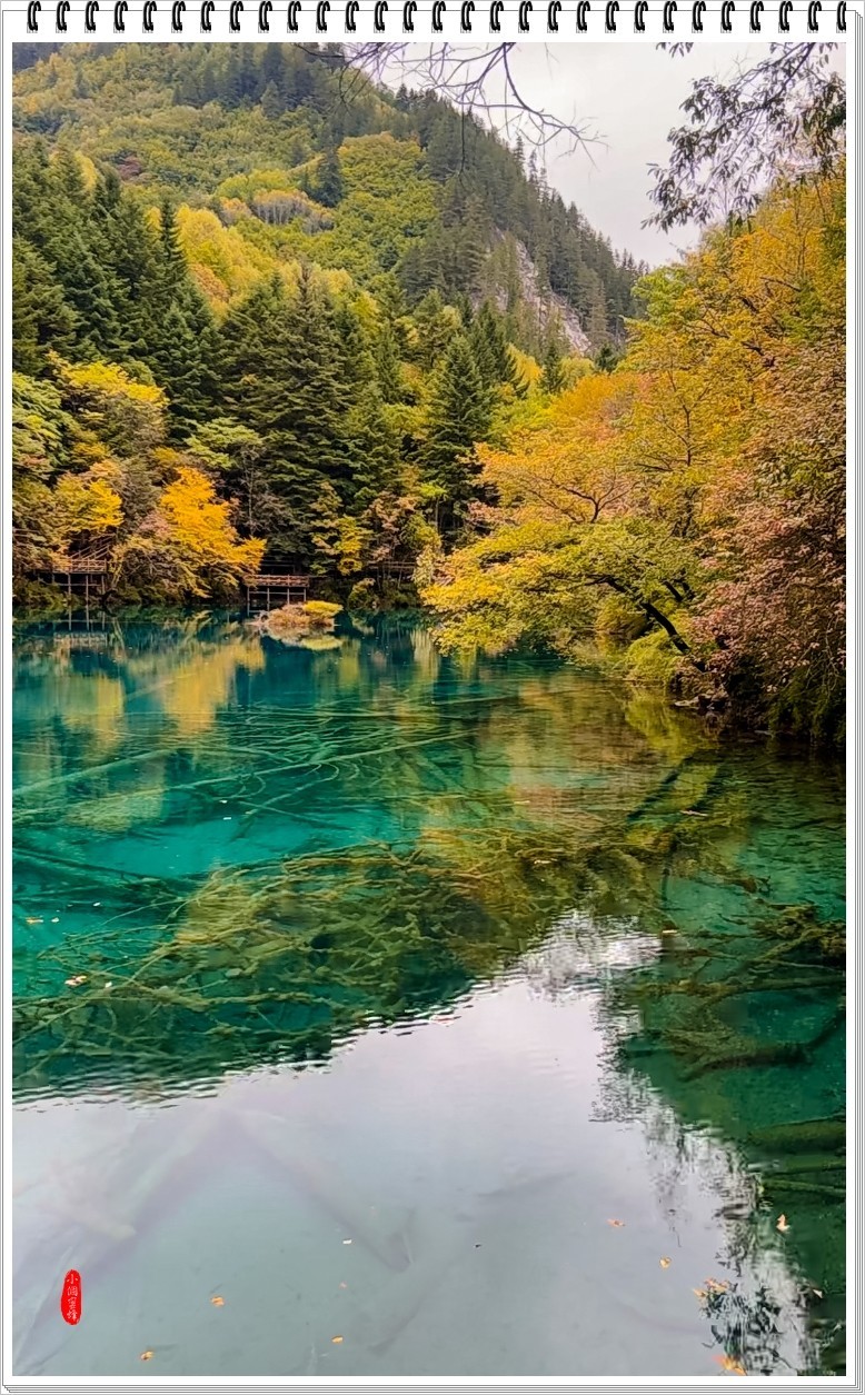 2022年九寨沟云拍-44