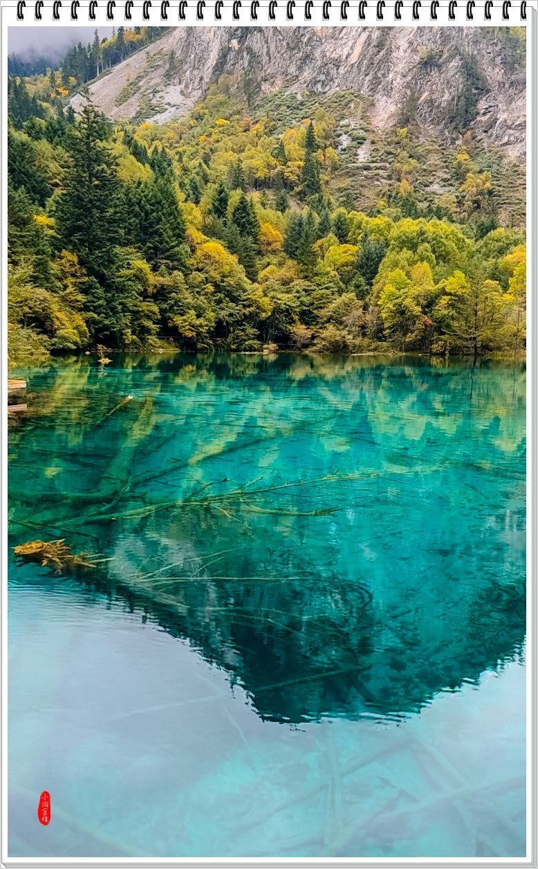 2022年九寨沟云拍-44