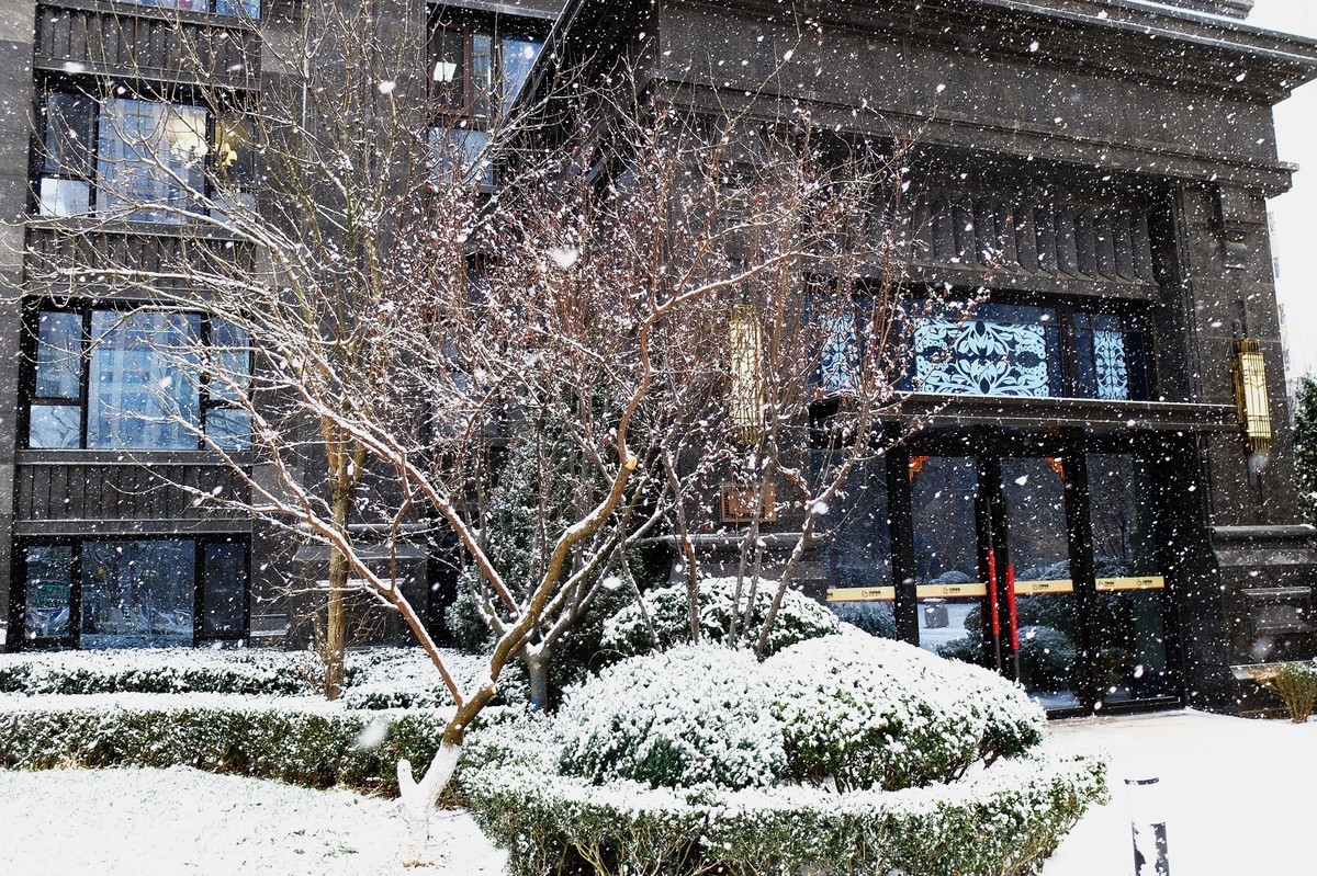 2022冬天大连的第一场雪