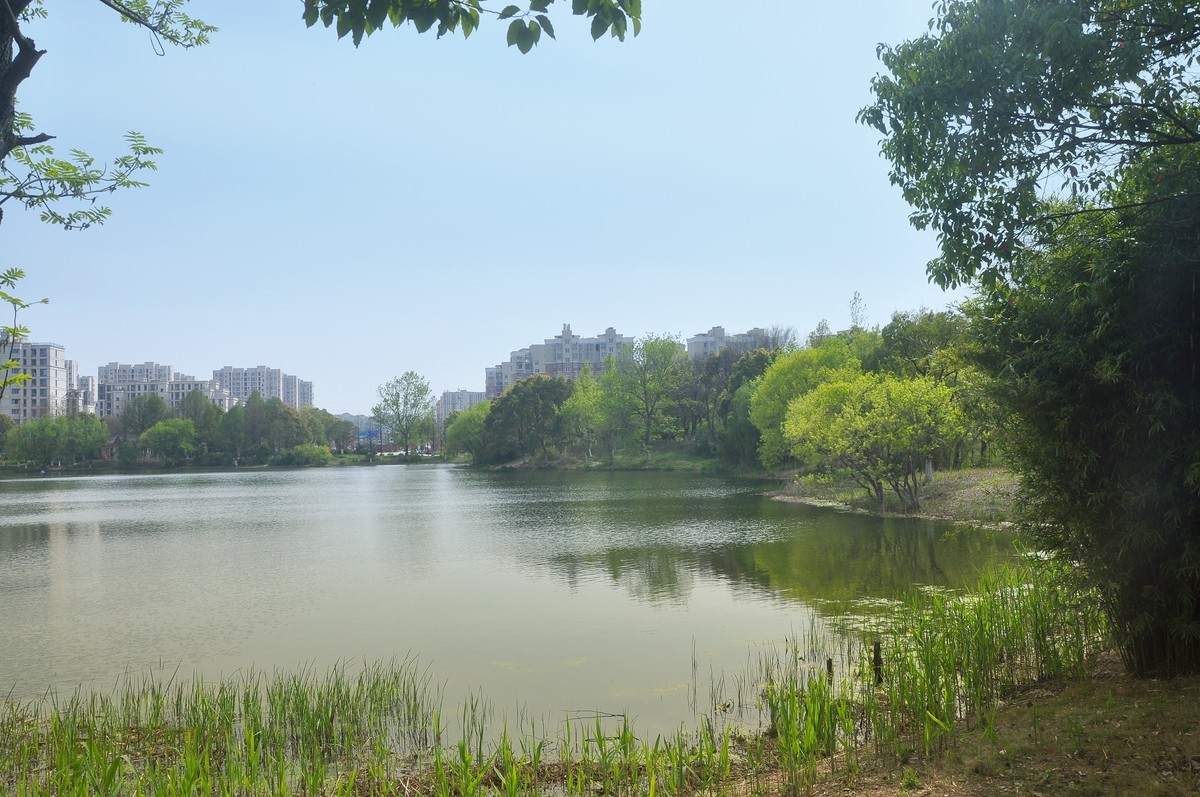 芜湖大阳垾公园要门票图片