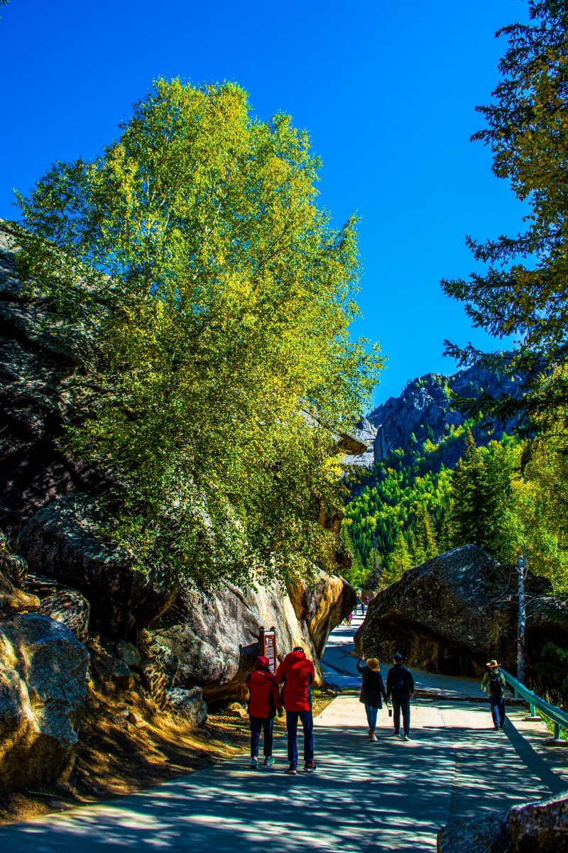 新疆旅游沿途风光风景记实抓拍可可托海大峡谷续