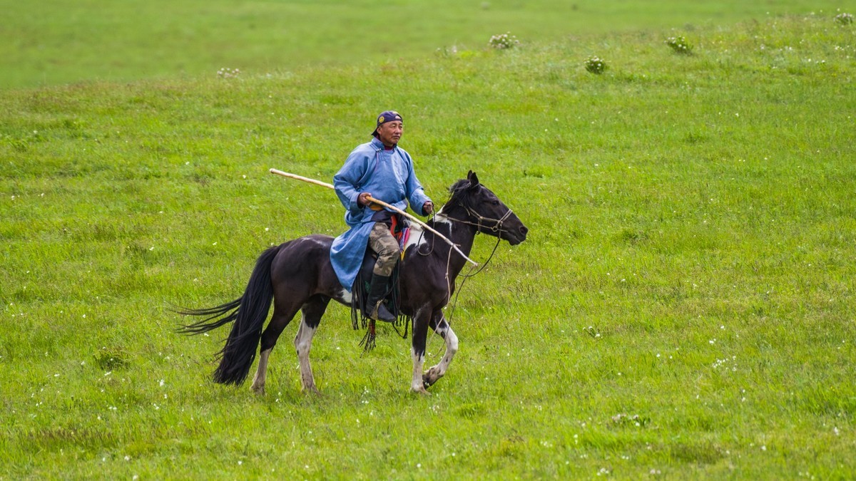 21.6 草原的夏天 （四）------骑手套马