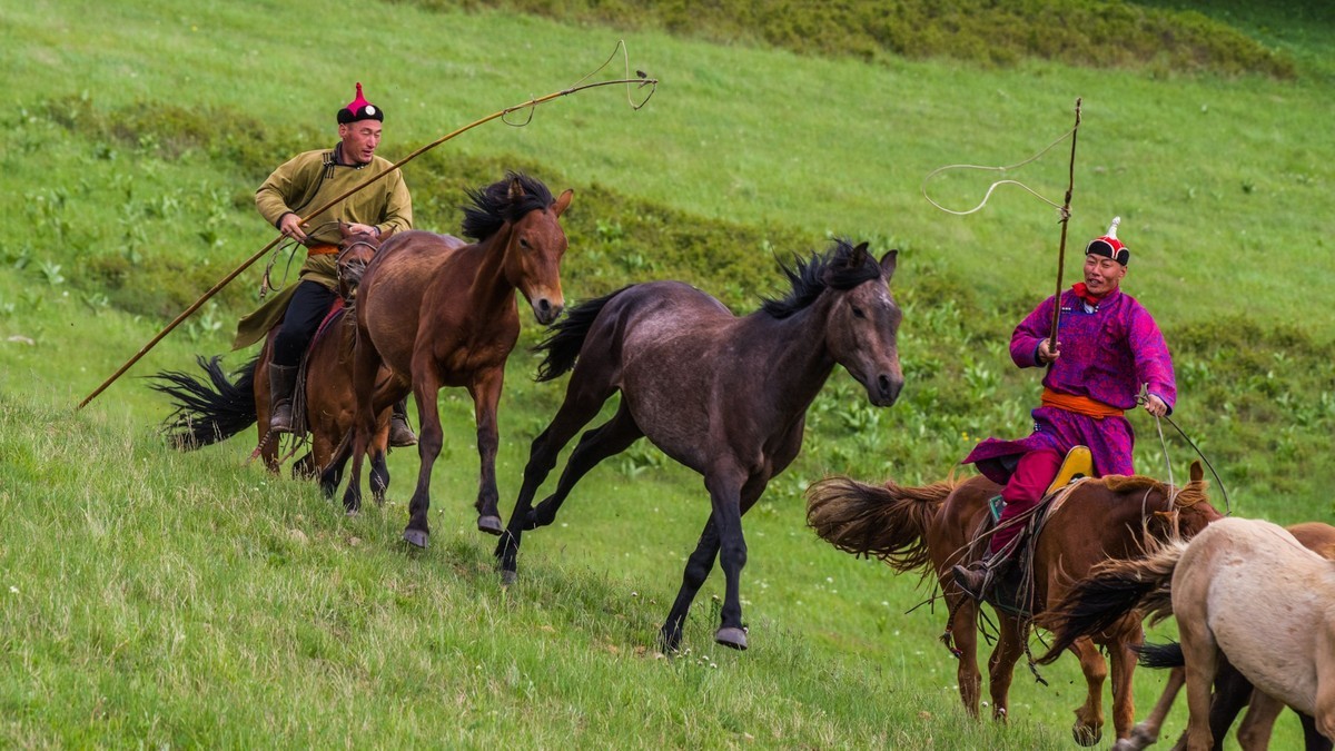 21.6 草原的夏天 （四）------骑手套马