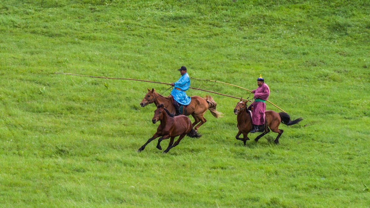 21.6 草原的夏天 （四）------骑手套马