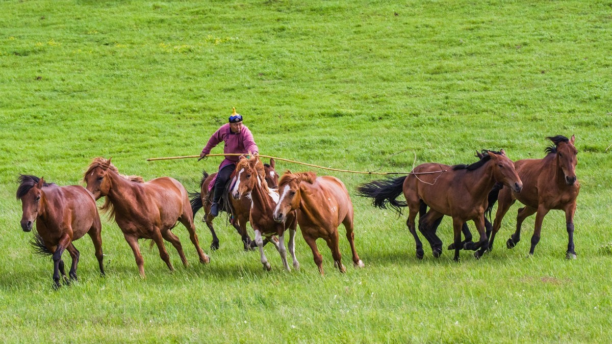 21.6 草原的夏天 （四）------骑手套马