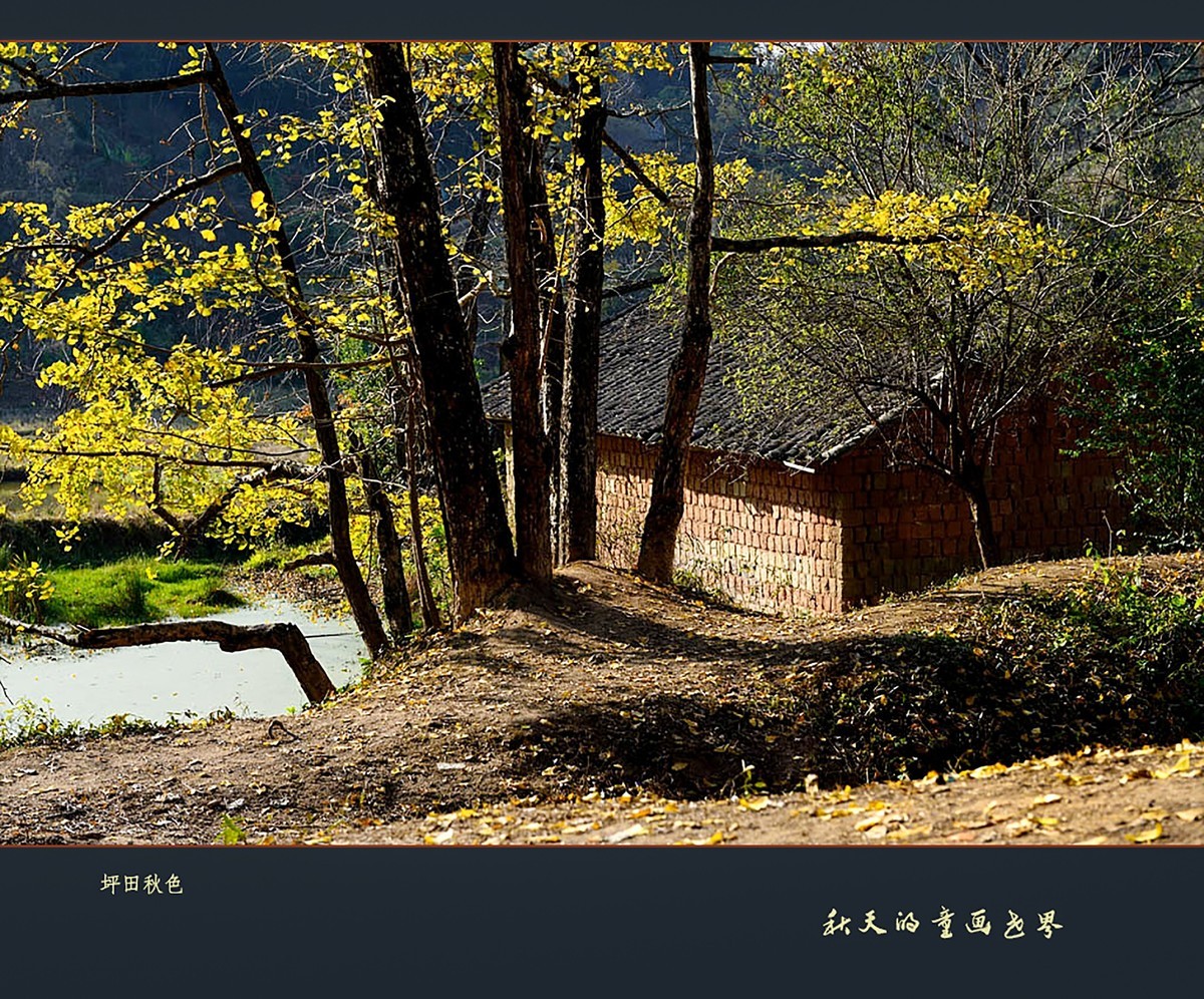 【秋天的童话世界】1