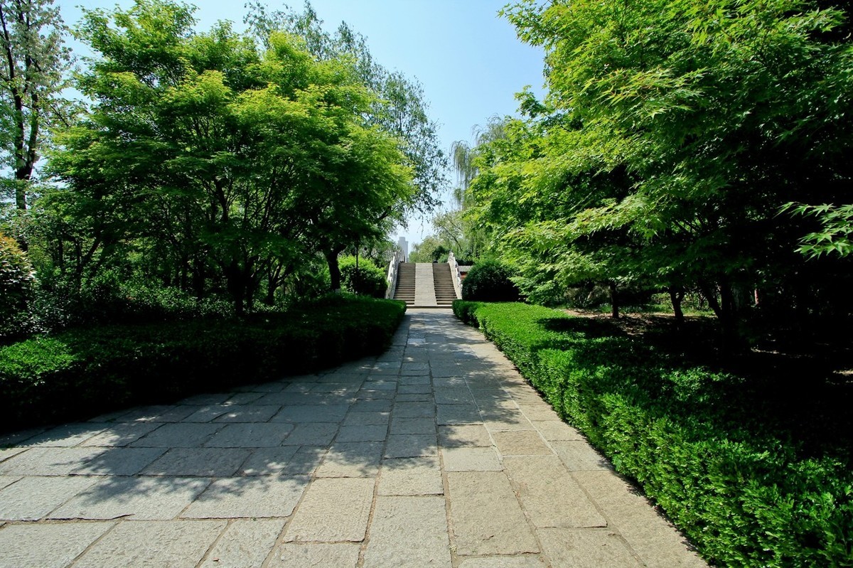 仲春——明湖风光 （二）