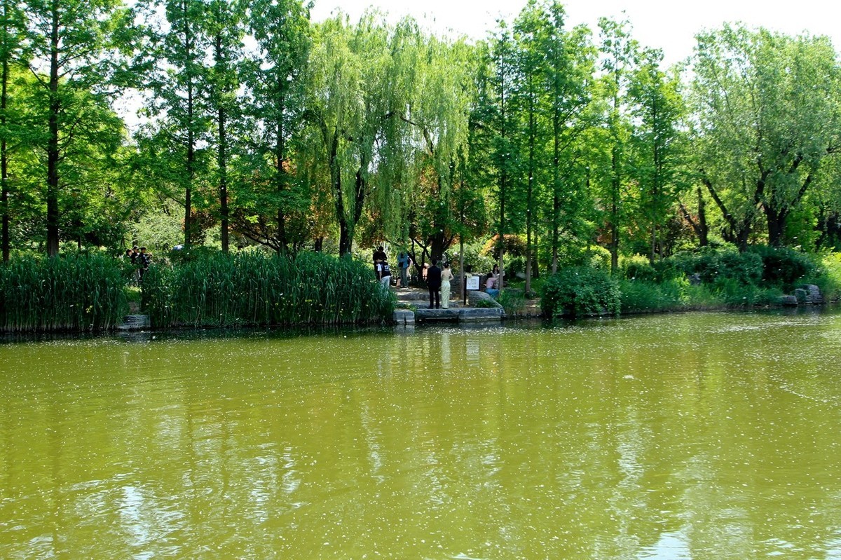 仲春——明湖风光 （二）