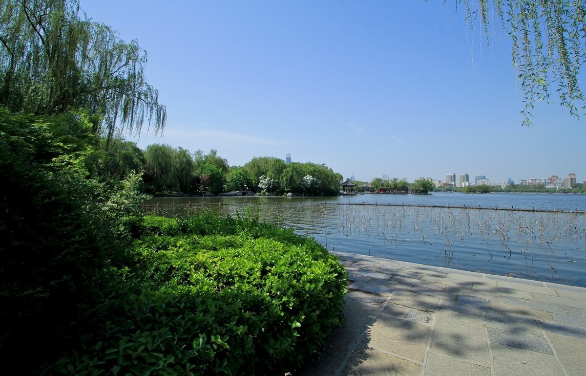 仲春——明湖风光 （二）